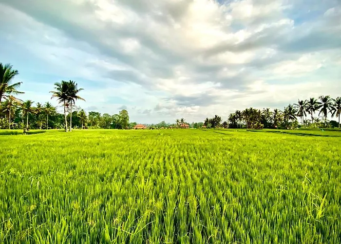 Sawah Ramah 4* Ubud